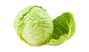实时热门推荐 - 开云3
